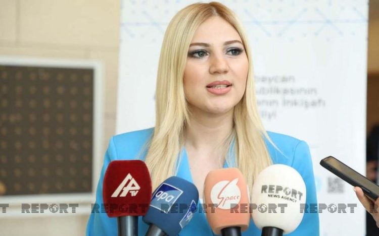 “Saytlara əlavə reklam fürsətinin yaradılması üçün işlər görülür” – MEDİA