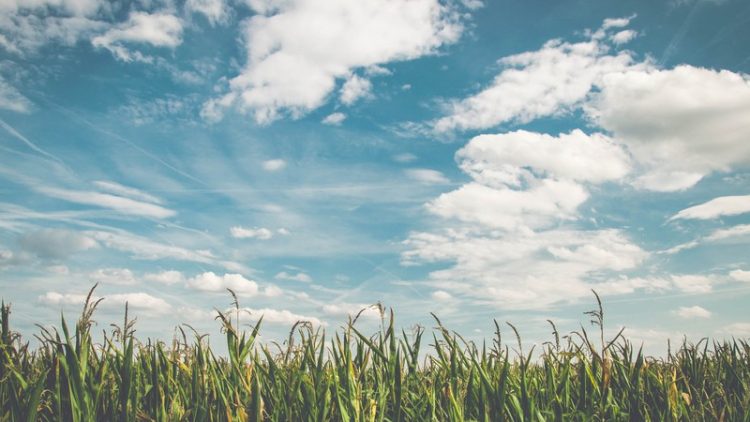 Sabah Bakıda hava yağmursuz olacaq