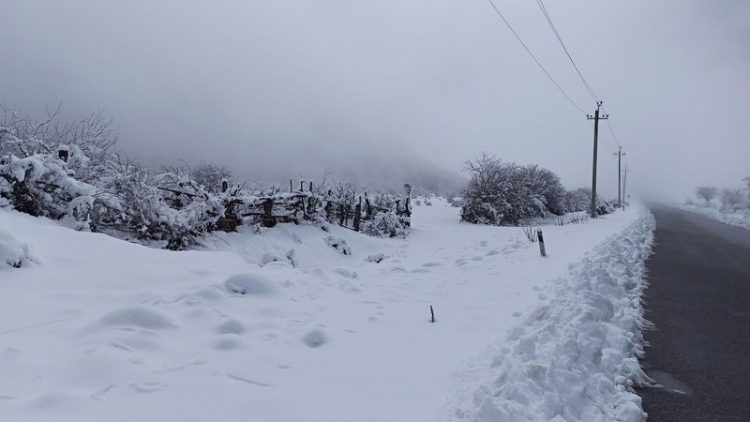 Sabah Azərbaycanın bəzi ərazilərində 22 dərəcə şaxta olacaq