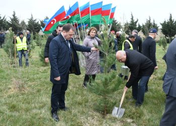 Abşeron rayonunda “Heydər Əliyev İli” çərçivəsində ağacəkmə aksiyası keçirilmişdir