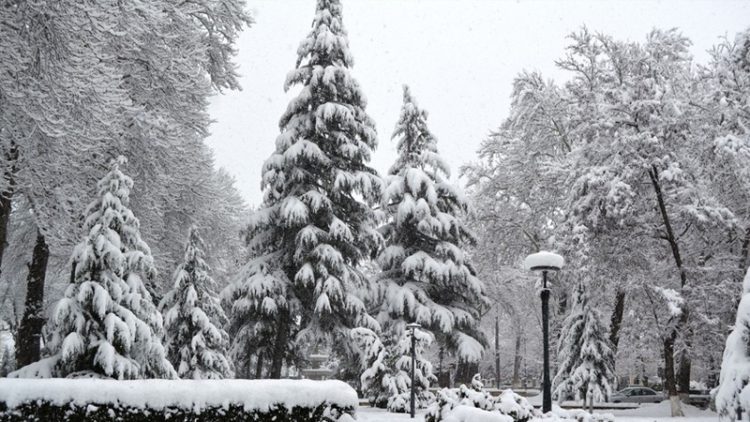 Ölkə ərazisindəki faktiki hava açıqlandı