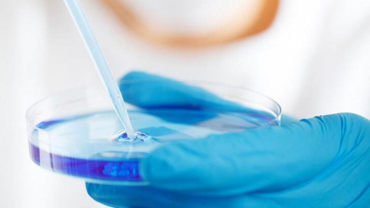 Antibiotik süni intellektə malik antibiotikə davamlı və öldürücü bakteriyaya qarşı tapılıb