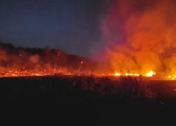 Kanadada 110 fərqli yerdə meşə yanğınları davam edir