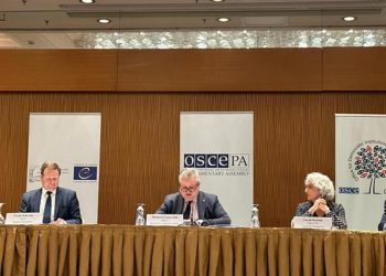 Səfir Petersen: Seçki dinc şəraitdə keçdi