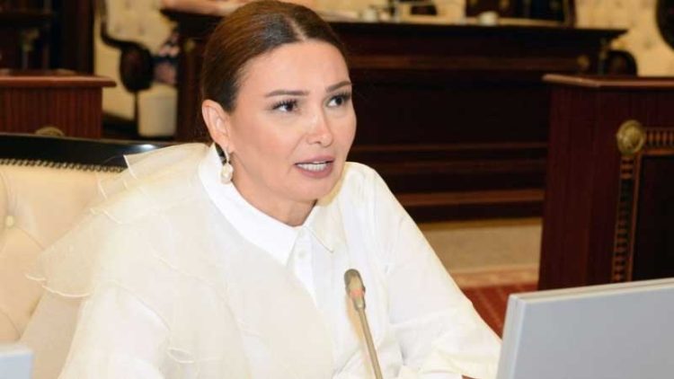 “Bu müraciətlərə nə Səhiyyə Nazirliyi, nə də TƏBİB-lə çıxış yolu tapmırıq” – Deputat