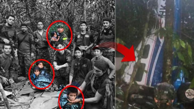 Təyyarəsi qəzaya uğrayan 4 uşaq 40 gündən sonra meşədə sağ tapıldı! Dünyanın danışdığı möcüzə...