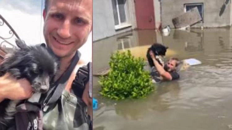 Ukraynalı boksçu daşqın zonasında heyvanları və qocaları xilas edir