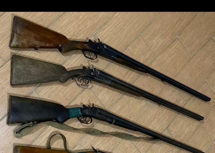Goranboyda vətəndaşlardan qanunsuz ov silahları götürüldü