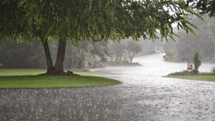 Sabah bəzi ərazilərdə yağış yağacaq, güclü külək əsəcək
