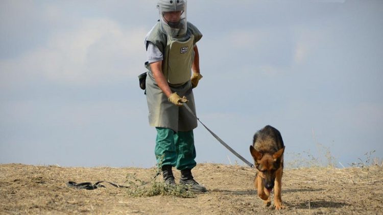Ararat Mirzoyan mina xəritələrinin Ermənistanda olduğunu etiraf etdi