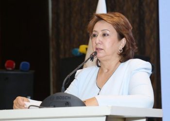 Təhsildə “fəth” etdi, deputatlıqda “fətir yapar” – Mehriban Vəliyevanın DOSYESİ…