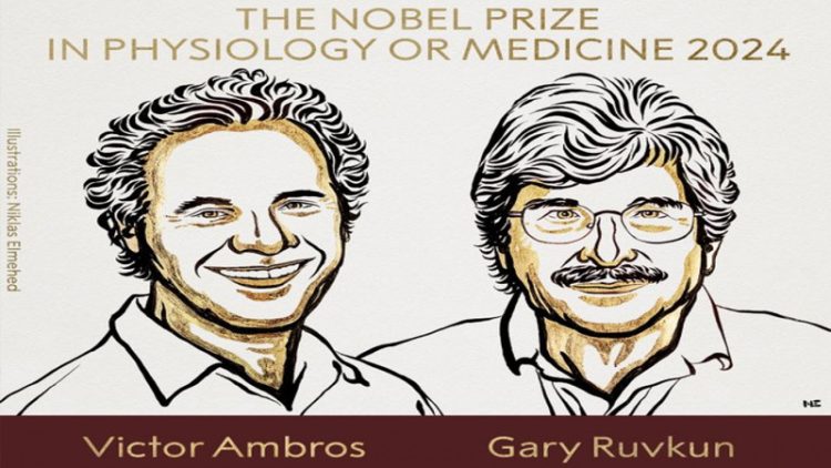 Fiziologiya və ya tibb üzrə Nobel mükafatının qalibləri açıqlandı