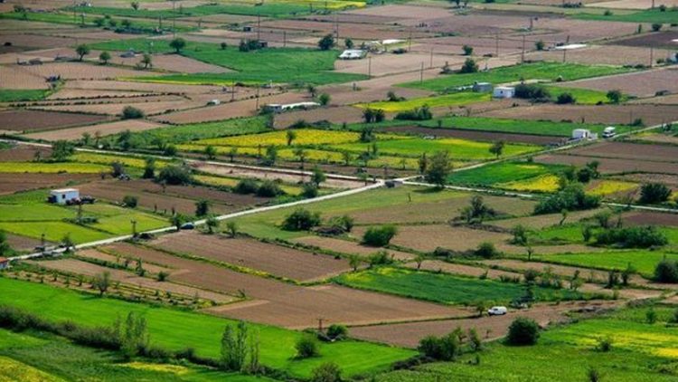 Torpaq icarəsinin ƏDV-dən azad olunması sahibkarlara nə verəcək? (ŞƏRH)