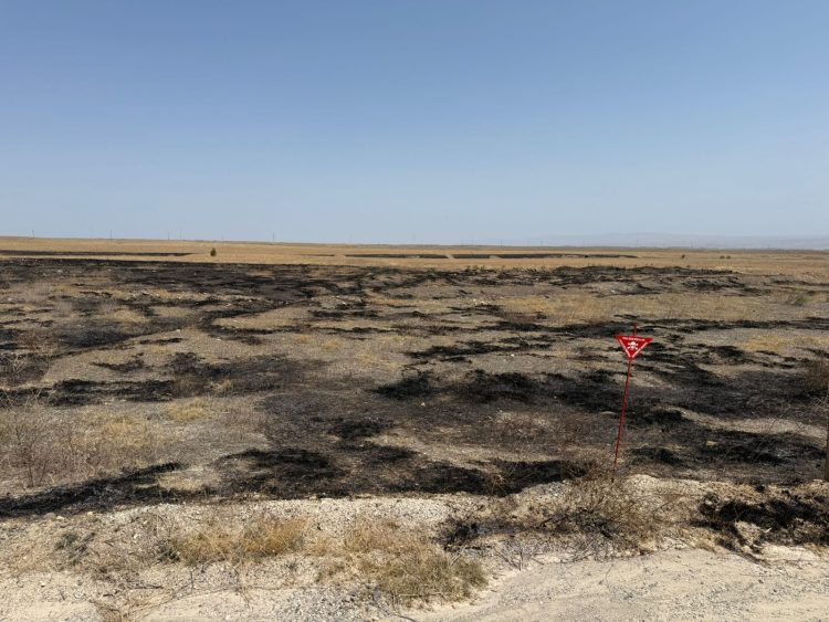 Cəbrayılda yanğına səbəb olan şəxslər saxlanıldı
