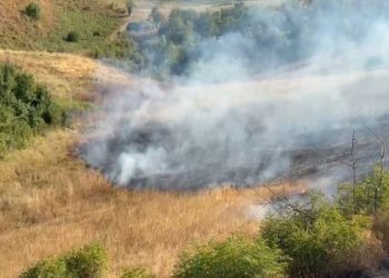 Xocavənddə yanğına səbəb olan şəxslər saxlanıldı