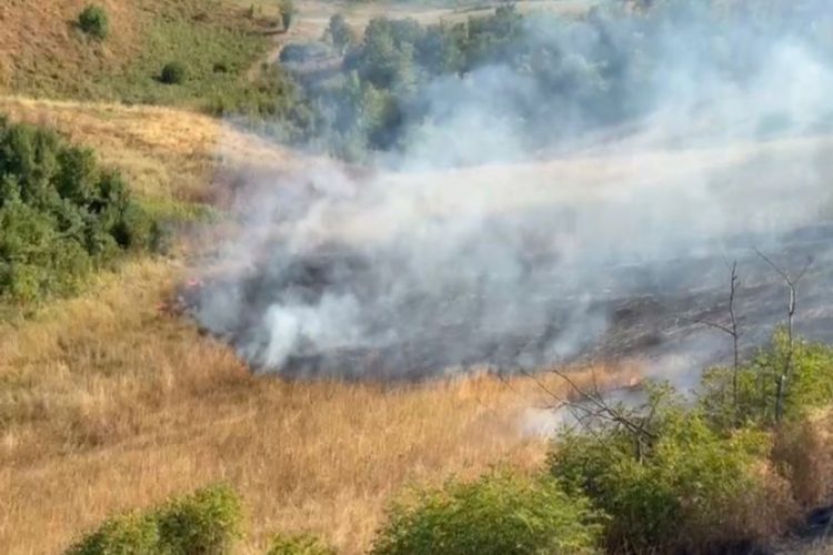 Xocavənddə yanğına səbəb olan şəxslər saxlanıldı