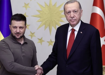 Ərdoğanla Zelenskinin görüşü başladı