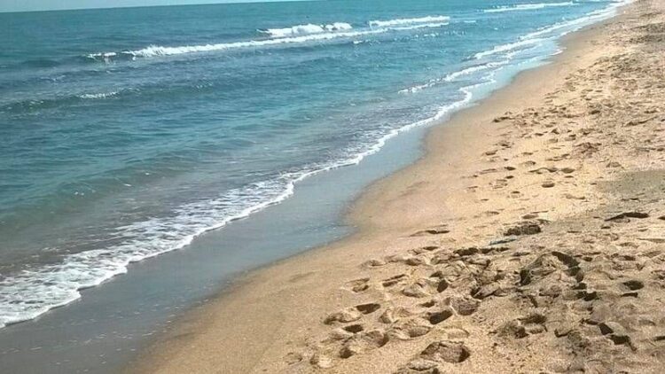 Bakıdan bu rayona gəmi ilə gedə biləcəyik – VİDEO