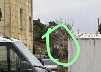 Dərnəgüldə ağaclara qənim kəsilən kimdir? – Fotolar-Yenilənib