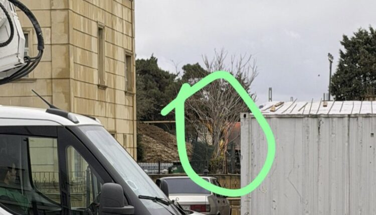 Dərnəgüldə ağaclara qənim kəsilən kimdir? – Fotolar-Yenilənib