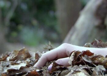 Bakıda reabilitasiya mərkəzində ölüm faktı baş verib